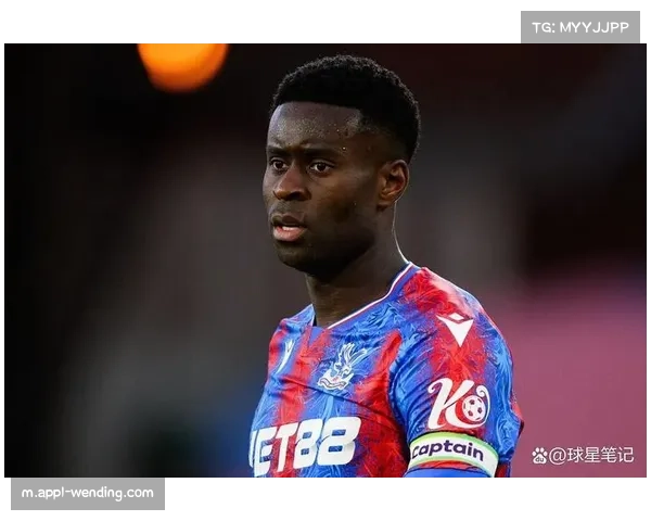 水晶宫球员格伊进球因距离人墙过近被吹无效